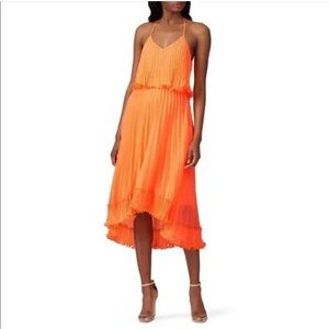 Halston Heritage Pleated Burnout Georgette Dress Size 4